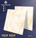 Gạch bán sứ bóng 60x60 TN MZ6558